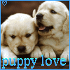 Dieren Puppy Avatars Puppy Love
