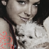Dieren Puppy Avatars 
