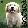 Dieren Puppy Avatars 