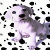 Dieren Puppy Avatars 