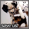 Dieren Puppy Avatars 