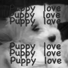 Dieren Puppy Avatars 