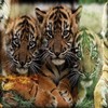 Dieren Avatars Tijger 