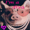 Dieren Varkens Avatars 