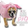 Dieren Varkens Avatars 