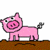Dieren Varkens Avatars 
