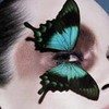 Dieren Avatars Vlinder 