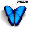 Dieren Avatars Vlinder Butterfly Blauw