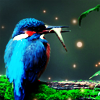 Dieren Avatars Vogel 