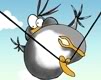 Dieren Avatars Vogel 