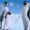 Disney Avatars Happy feet 