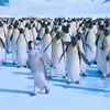 Disney Avatars Happy feet 