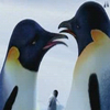 Disney Avatars Happy feet 