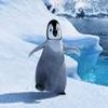 Disney Avatars Happy feet 