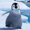 Disney Avatars Happy feet 