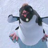 Disney Avatars Happy feet 