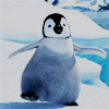 Disney Avatars Happy feet 