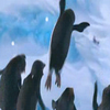 Disney Avatars Happy feet 