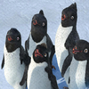 Disney Avatars Happy feet 