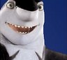 Disney Avatars Sharktale 