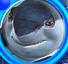 Disney Avatars Sharktale 