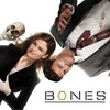 Film serie Avatars Bones 