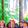 Harry potter Film serie Avatars 