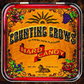 Sterren Avatars Counting crows Counting Crows Hard Candy Avatar Msn Plaatje