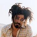 Sterren Avatars Counting crows 