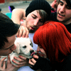 Sterren Paramore Avatars 