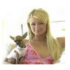 Sterren Avatars Paris hilton 