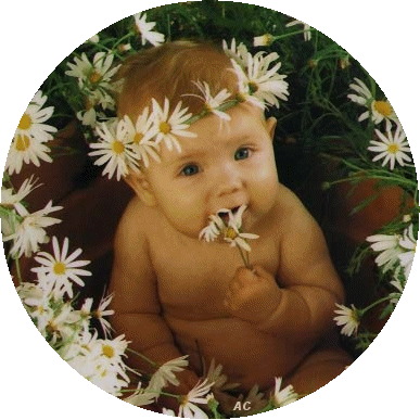 Baby plaatjes Anne geddes 