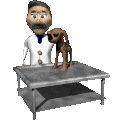 Beroepen plaatjes Dierenarts 