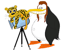 Beroepen plaatjes Paparazzi 