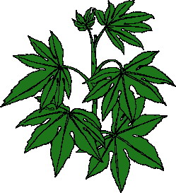 Cliparts Bloemen en planten Bladeren 