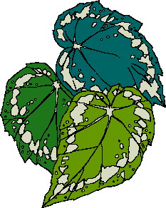 Cliparts Bloemen en planten Bladeren 