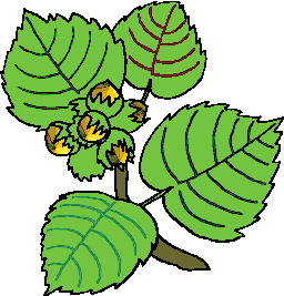 Cliparts Bloemen en planten Bladeren 