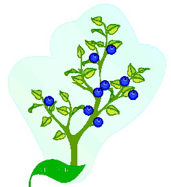 Cliparts Bloemen en planten Bladeren 