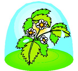 Cliparts Bloemen en planten Bladeren 