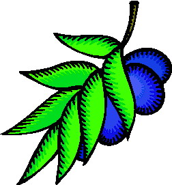 Cliparts Bloemen en planten Bladeren 