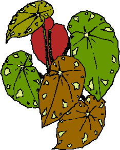 Cliparts Bloemen en planten Bladeren 