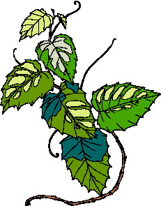Cliparts Bloemen en planten Bladeren 