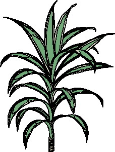 Cliparts Bloemen en planten Bladeren 