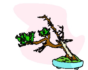 Cliparts Bloemen en planten Bonsai 