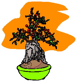 Cliparts Bloemen en planten Bonsai 