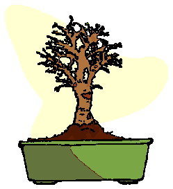 Cliparts Bloemen en planten Bonsai 