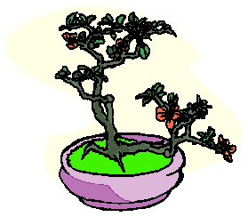 Cliparts Bloemen en planten Bonsai 