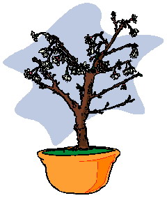 Cliparts Bloemen en planten Bonsai 