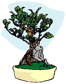 Cliparts Bloemen en planten Bonsai 