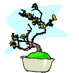 Cliparts Bloemen en planten Bonsai 